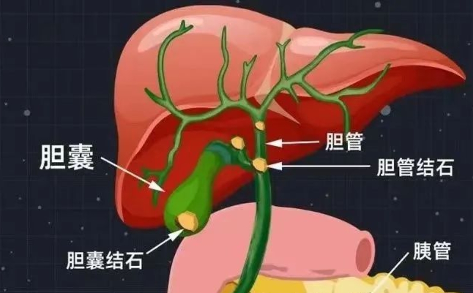 微信截图_20250415104508.png