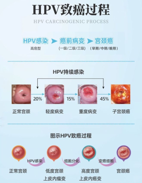 微信截图_20250429154415.png