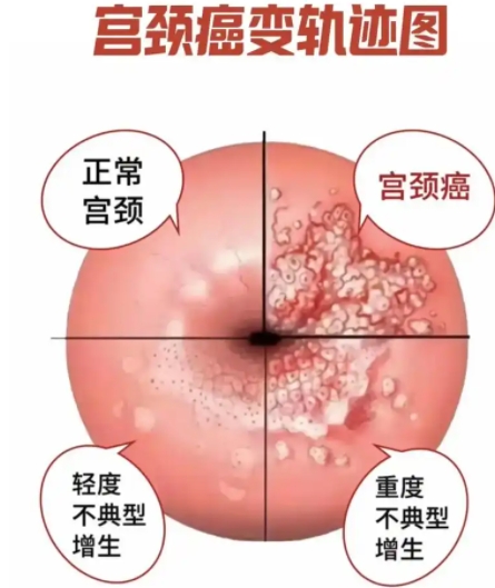 微信截图_20250429154429.png