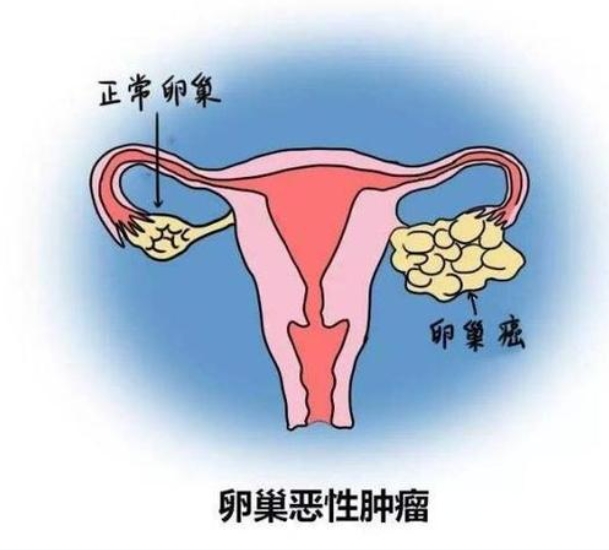 微信截图_20250613141751.png